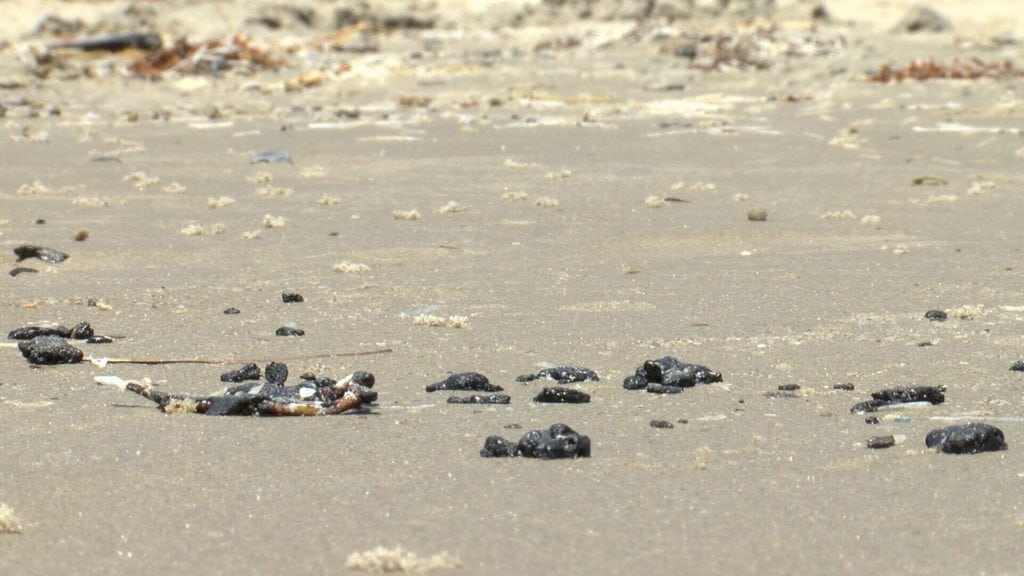 Recently, several beach visitors have come home Port Aransas and Padre Island covered in black, sticky tar.