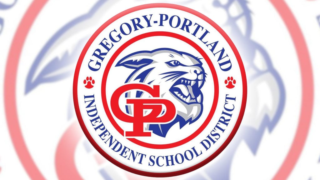 Two Gregory teachers' projects selected for funding by Sonic - Vimarsana News