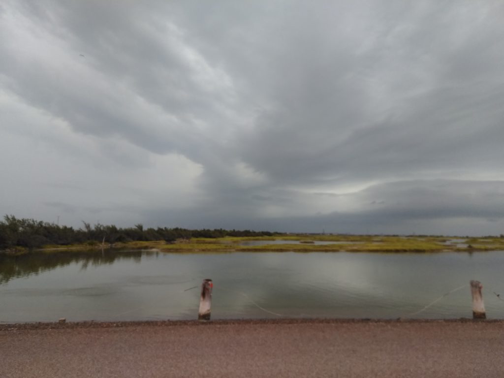 Morning fog gave way to afternoon warmth and humidity today. - Vimarsana News